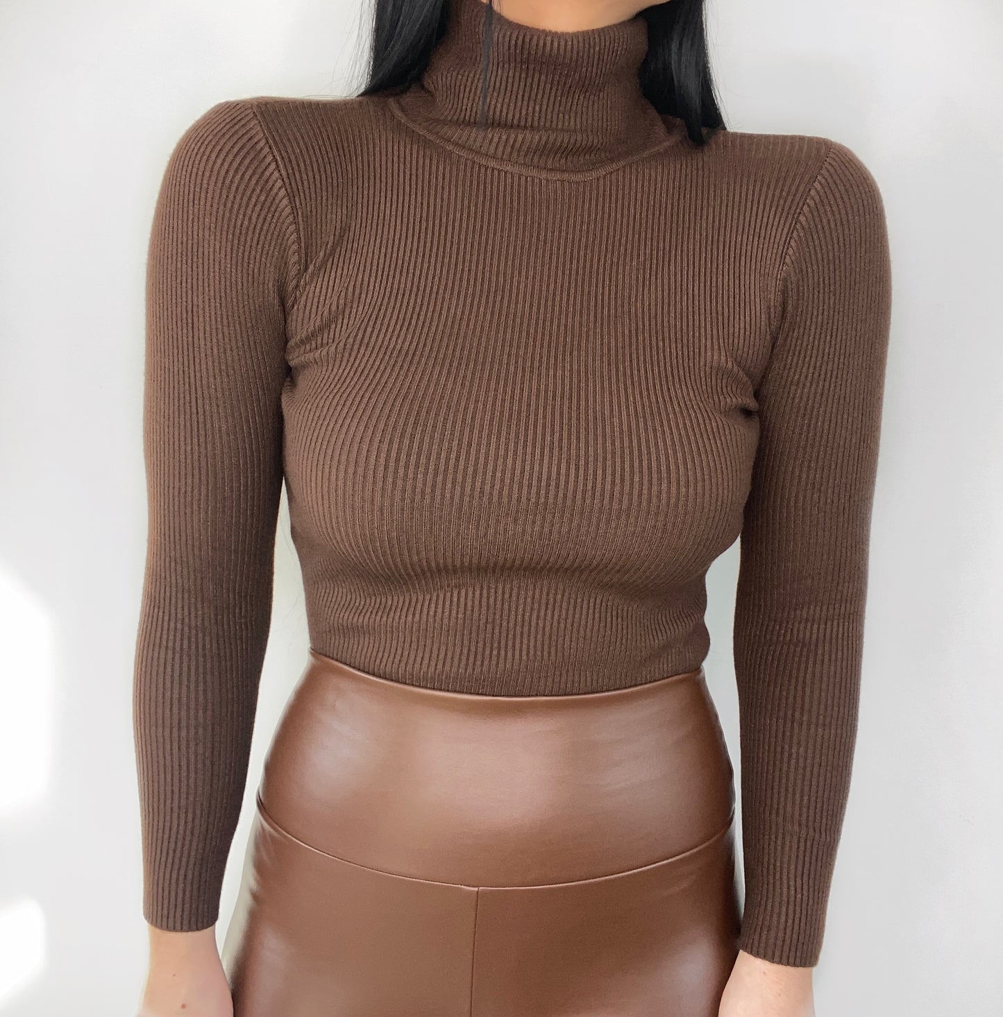 BASIC HIGH NECK KNIT ROLL NECK